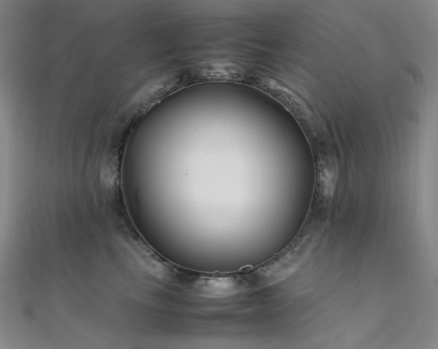 X0000112370665200908131519