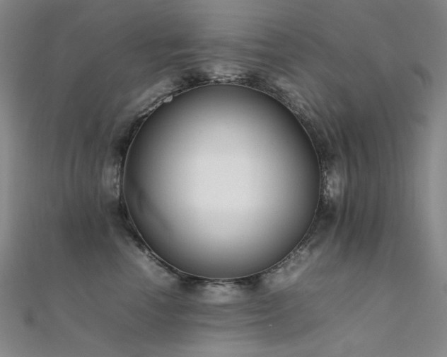 X0000112370666200908131519