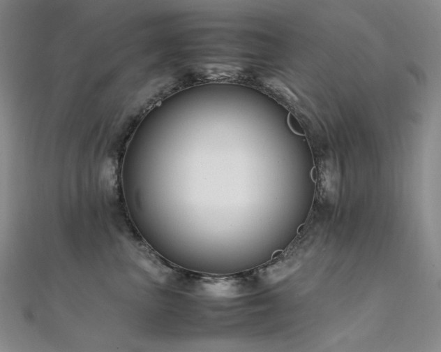 X0000112370667200908131519