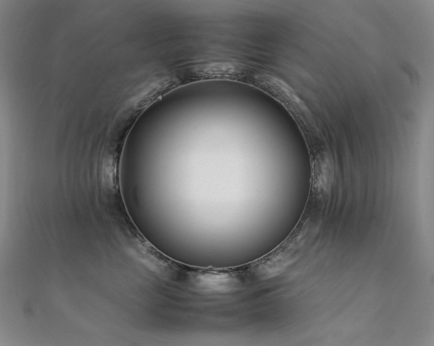 X0000112370669200908131519
