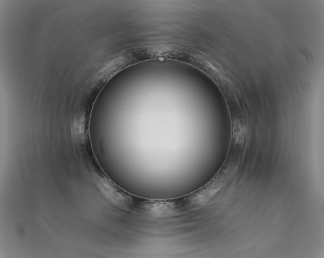 X0000112370670200908131519