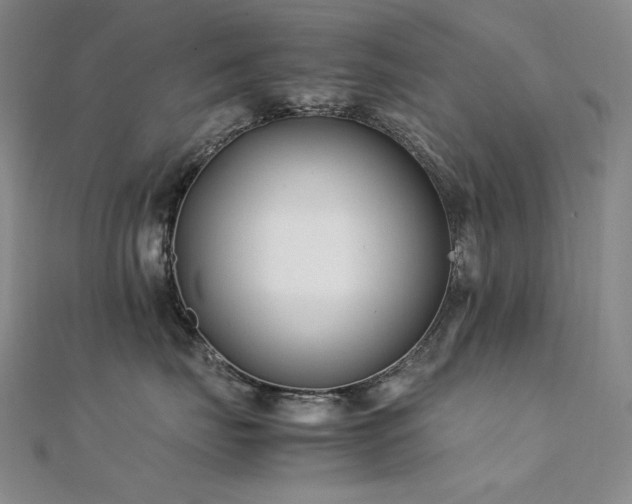 X0000112370671200908131519