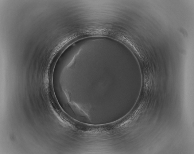 X0000112370674200908131518