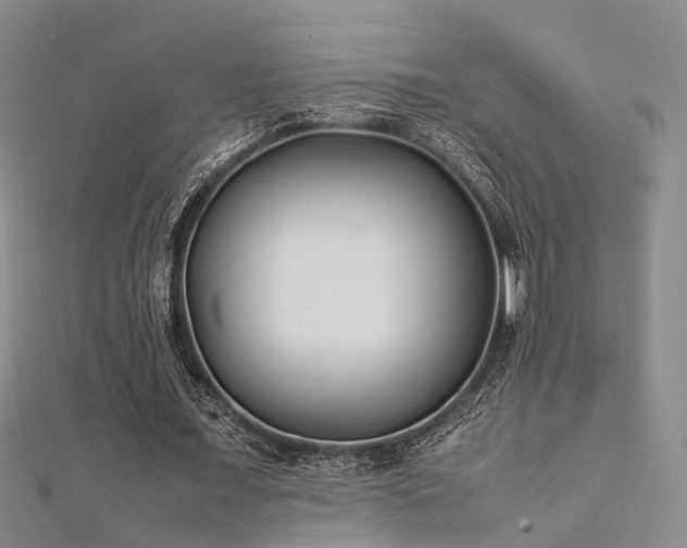 X0000112370675200908131518