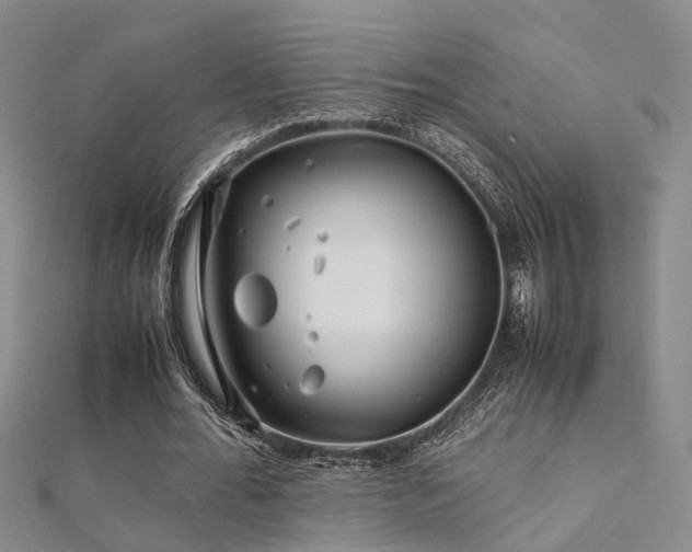X0000112370676200908131518