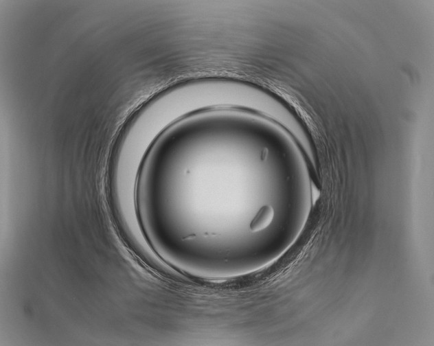 X0000112370677200908131518