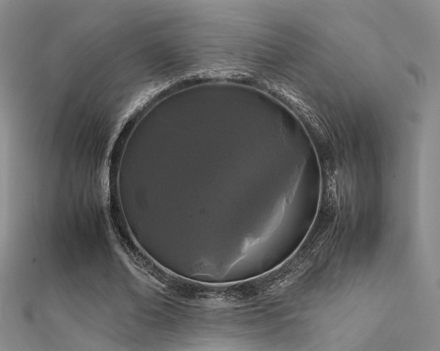 X0000112370678200908131518