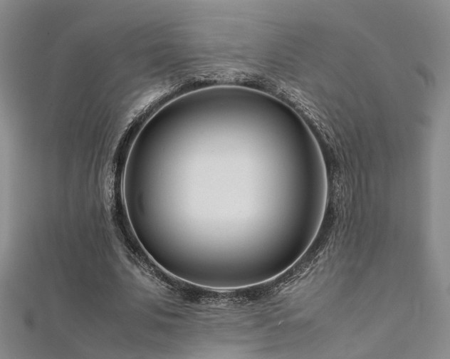 X0000112370679200908131518