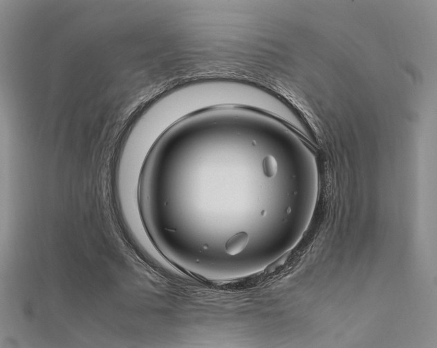 X0000112370681200908131518