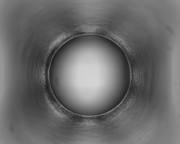 X0000112370682200908131518