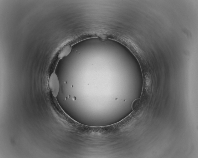 X0000112370684200908131518