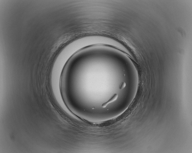X0000112370685200908131518