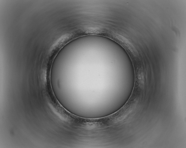 X0000112370686200908131518