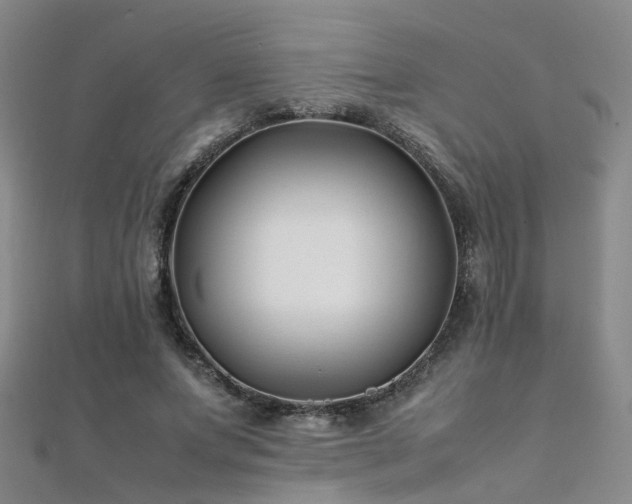 X0000112370687200908131518