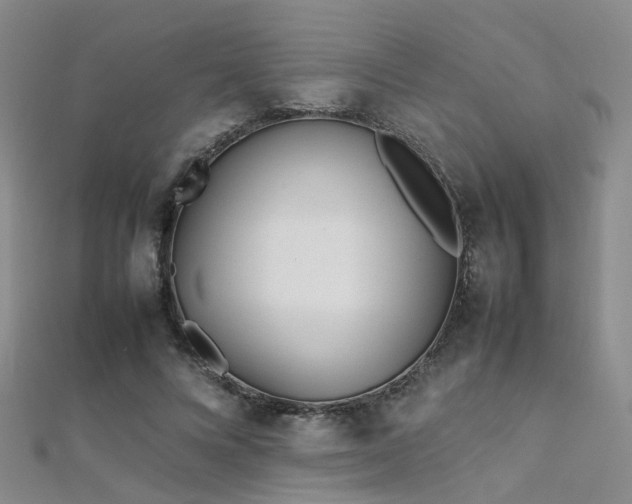 X0000112370688200908131518