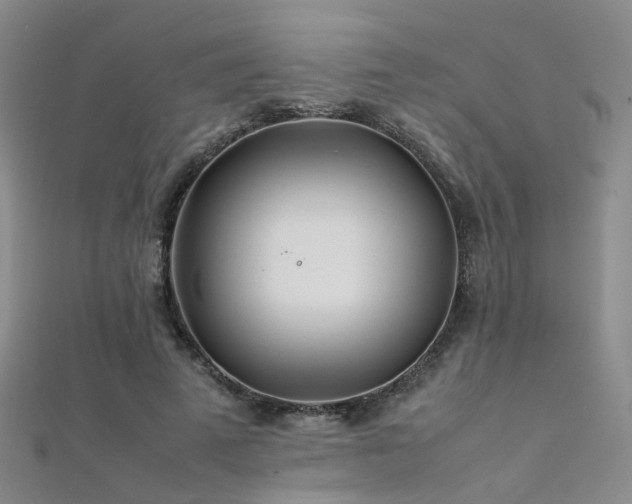 X0000112370689200908131518