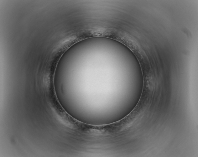 X0000112370690200908131518