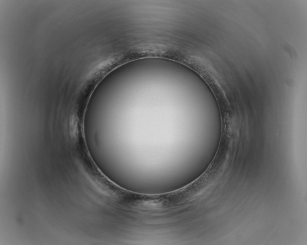 X0000112370692200908131518
