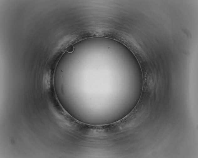 X0000112370694200908131518