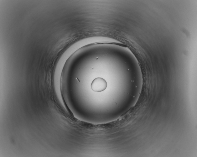 X0000112370696200908131518