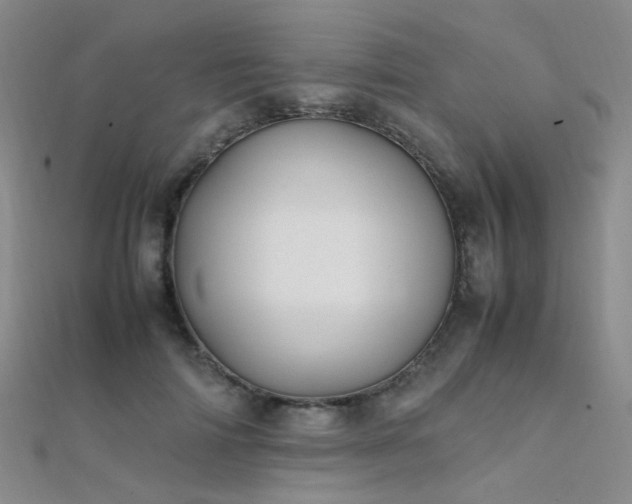 X0000112370698200908131518