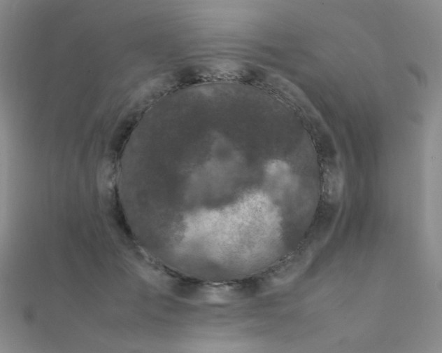 X0000112370701200908131518