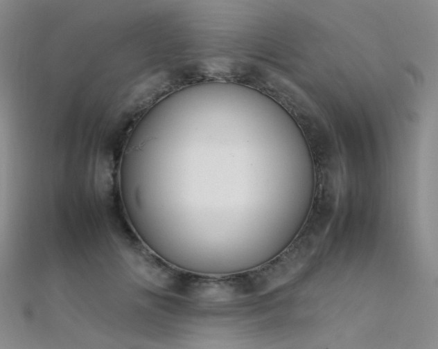 X0000112370702200908131518
