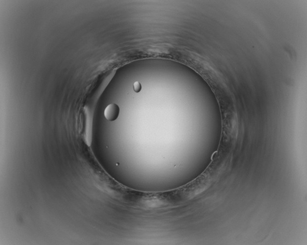 X0000112370704200908131518