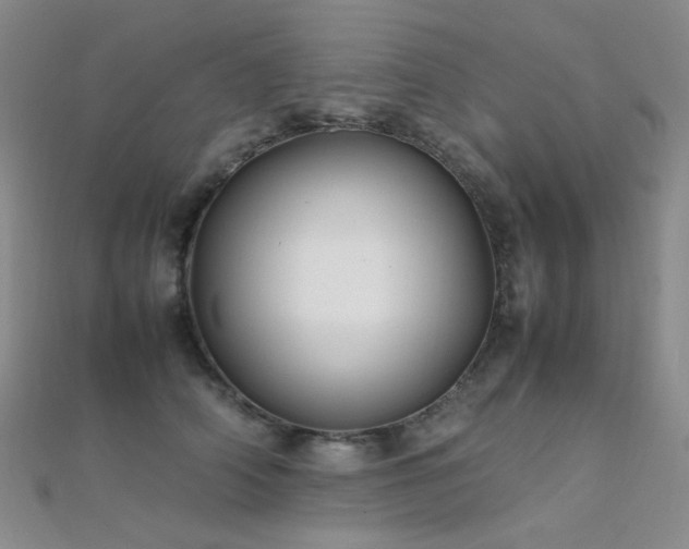 X0000112370706200908131518