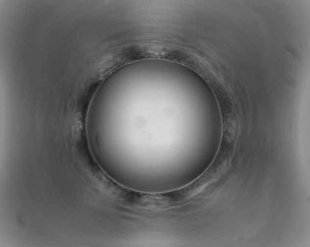 X0000112370707200908131518