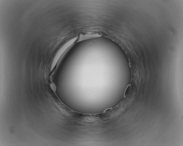 X0000112370708200908131518