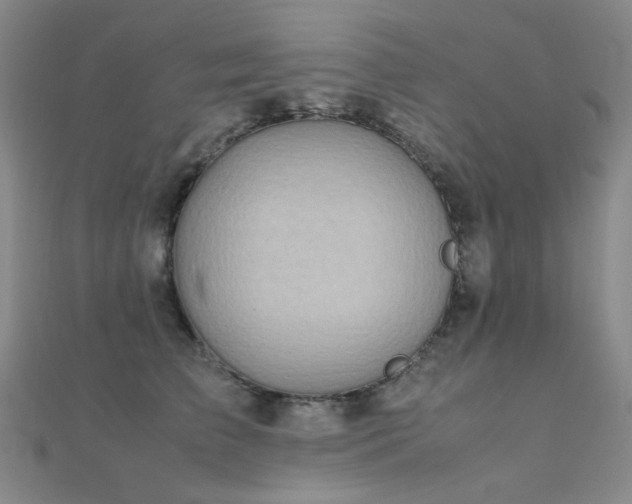 X0000112370709200908131518