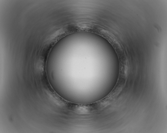 X0000112370710200908131518