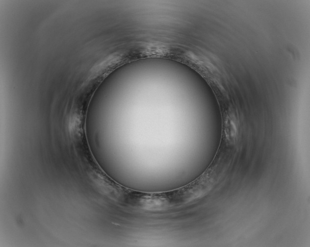 X0000112370714200908131518