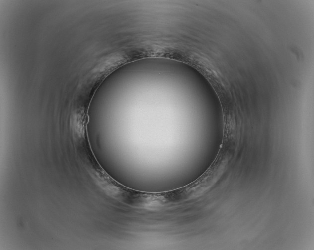 X0000112370719200908131518