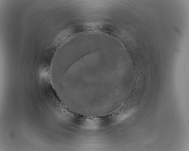 X0000112370720200908131518