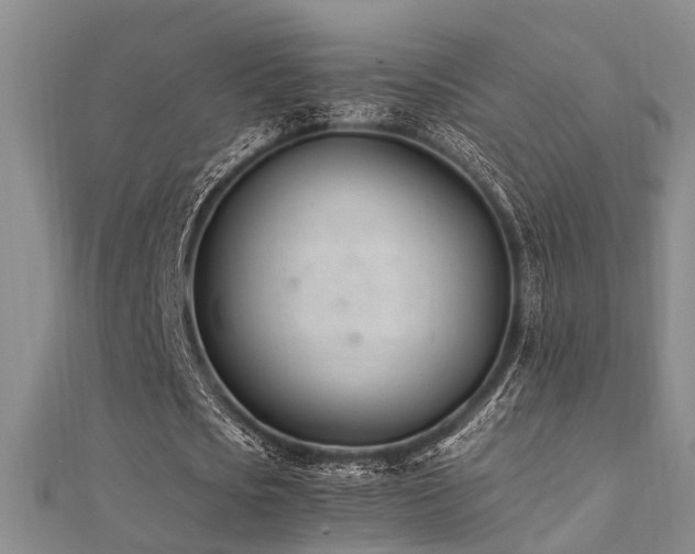 X0000112370721200908131517