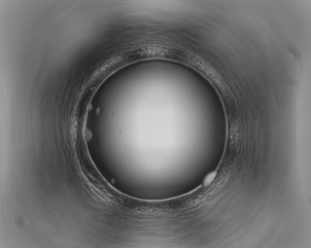 X0000112370722200908131517