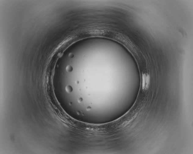 X0000112370723200908131517