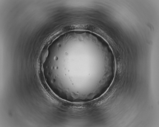 X0000112370725200908131517