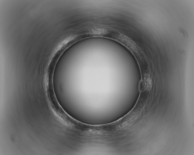 X0000112370726200908131517