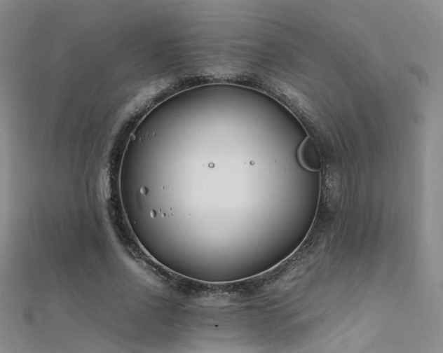 X0000112370734200908131517