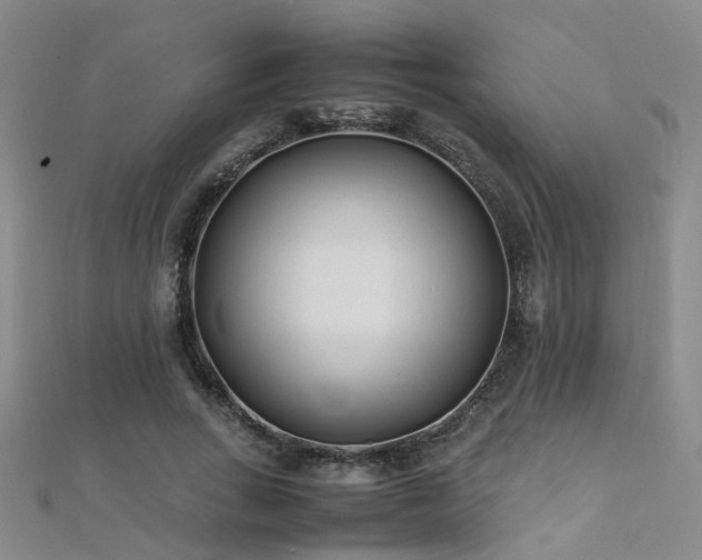 X0000112370735200908131517