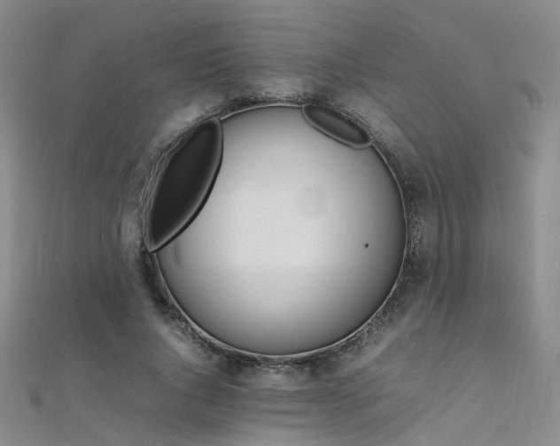 X0000112370736200908131517