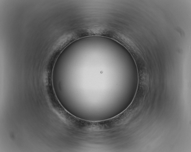 X0000112370738200908131517