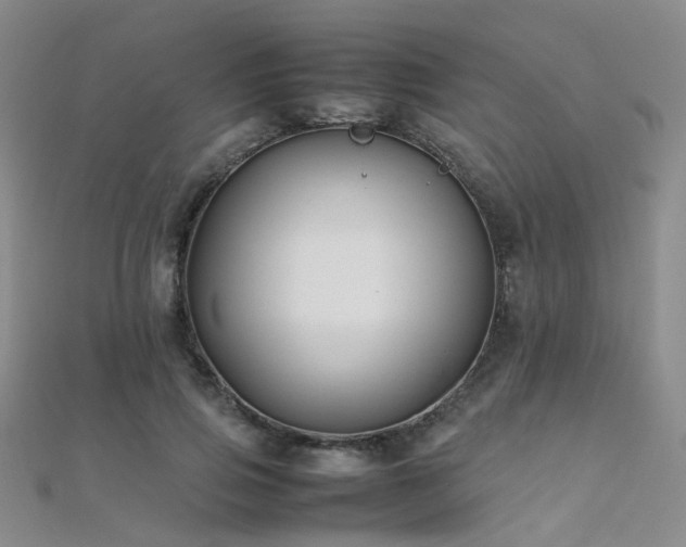 X0000112370741200908131517
