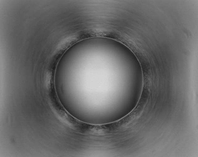 X0000112370742200908131517
