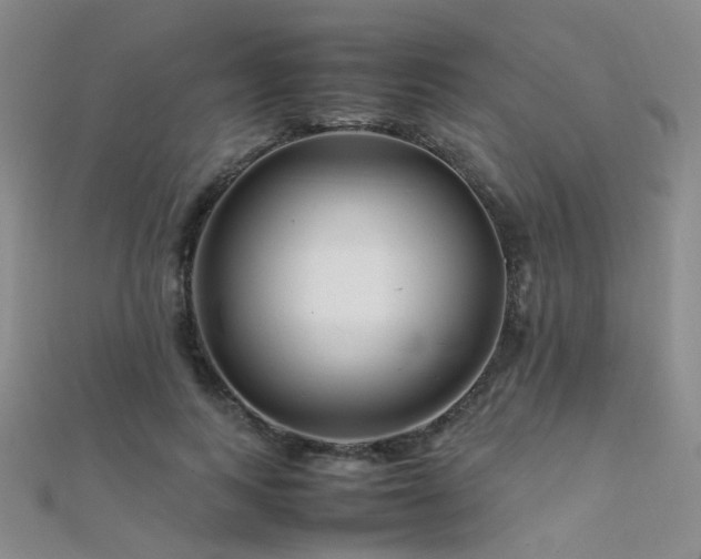 X0000112370743200908131517