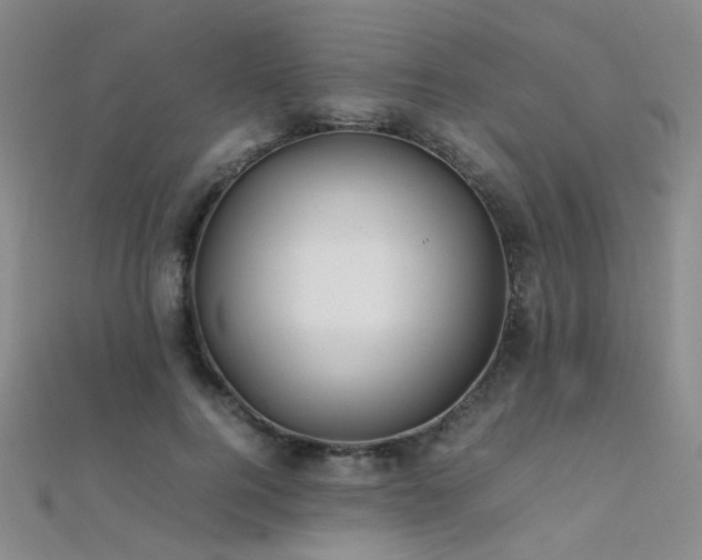 X0000112370744200908131517
