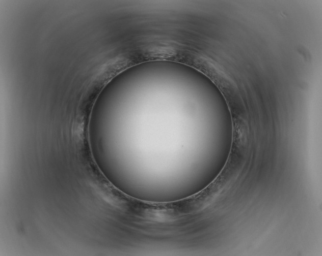 X0000112370745200908131517